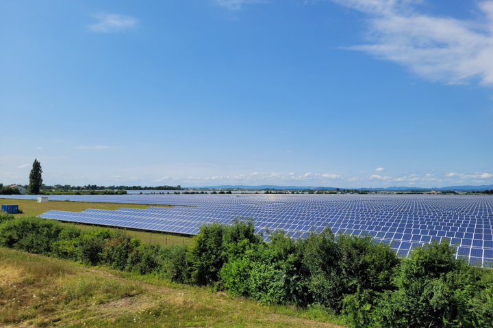 Bild einer Freiflächen-Photovoltaikanlage.