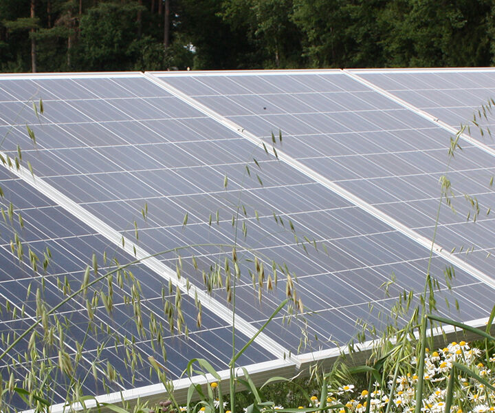 Photovoltaik-Module auf der Wiese