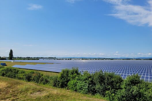 PV-Module auf einer Freifläche