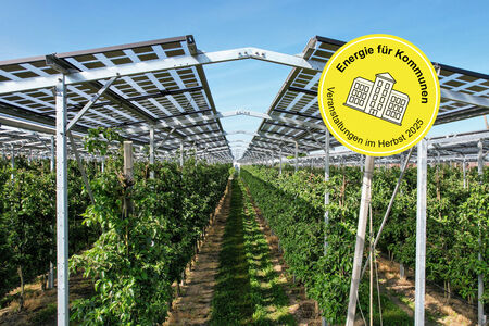 Agri-Photovoltaik-Anlage mit Äpfelbäumen darunter