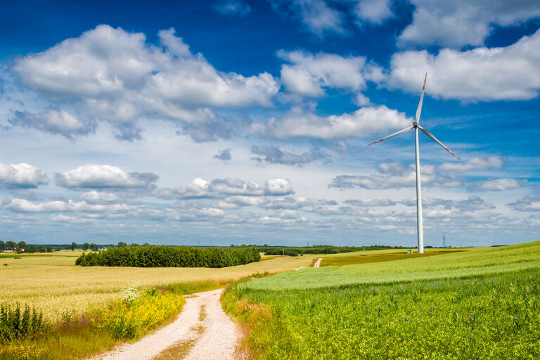 Windrad neben einem Feldweg