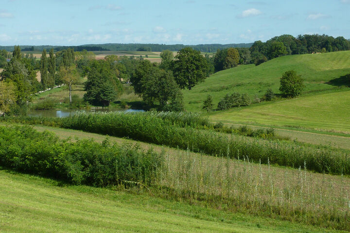 Agroforst