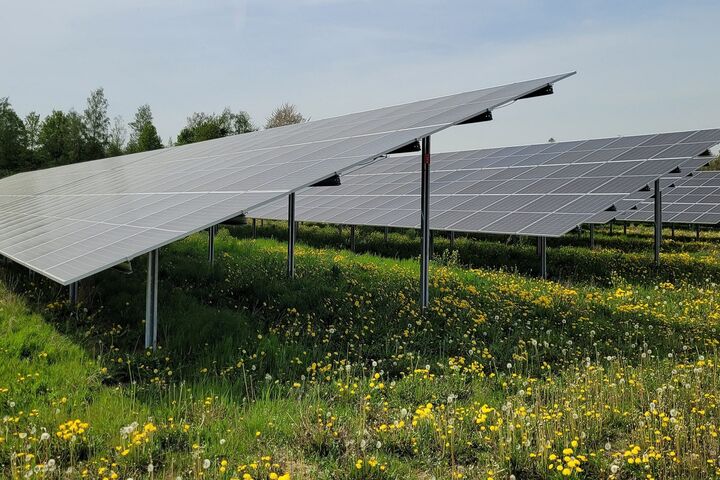 Freiflächen-Photovoltaik auf Wiese