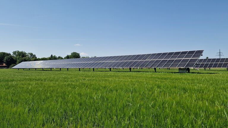 Bild einer einachsig nachgeführten Agri-PV-Anlage